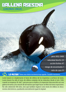 waterAnimal_002_tipo